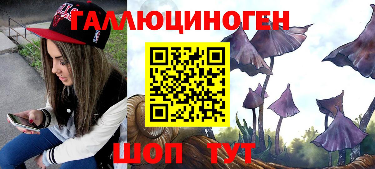 Кировск  Псилоцибиновые грибы Psilocybine cubensis  Вход с VPN  Галлюциногенные грибы Psilocybine cubensis 