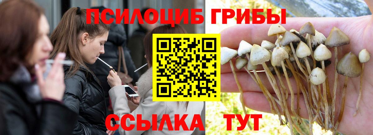 Галлюциногенные грибы мухоморы Кировск